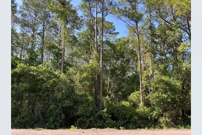 4200 Helena Street, Hastings, FL 32145 - Photo 1