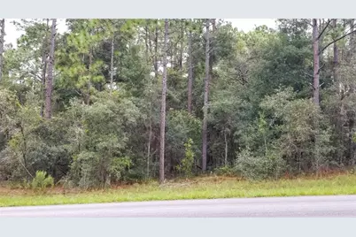 9239 N Irondale Road, Citrus Springs, FL 34434 - Photo 1