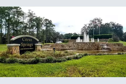 8881 N Irondale Road, Citrus Springs, FL 34434 - Photo 1