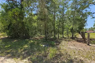 Tbd SE 25th St, Morriston, FL 32668 - Photo 1