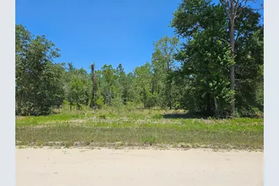 Tbd SE 26th Street, Morriston, FL 32668 - Photo 1