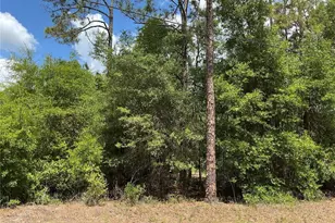 Guava Pass Dr, Ocklawaha, FL 32179 - Photo 1