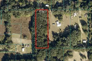 Tbd NW 157th Pl, Citra, FL 32113 - Photo 1