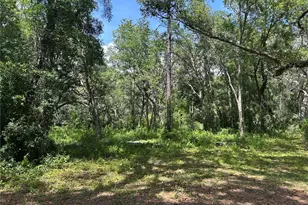 Tbd (Lot #25) SE 192nd Ct, Morriston, FL 32668 - Photo 1