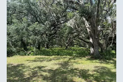 Tbd (Lot #17) SE 192nd Court, Morriston, FL 32668 - Photo 1