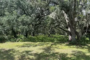 Tbd (Lot #17) SE 192nd Ct, Morriston, FL 32668 - Photo 1