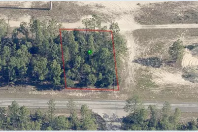 2905 W Sharpes Drive, Citrus Springs, FL 34433 - Photo 1