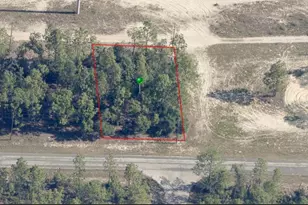 2905 W Sharpes Dr, Citrus Springs, FL 34433 - Photo 1