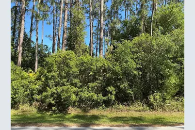 87 Eric Drive, Palm Coast, FL 32164 - Photo 1