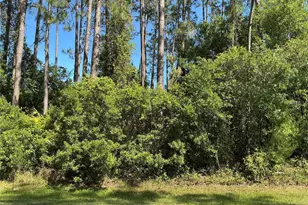 87 Eric Dr, Palm Coast, FL 32164 - Photo 1