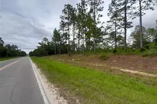 Tbd SE 71st Pl, Morriston, FL 32668 - Photo 1