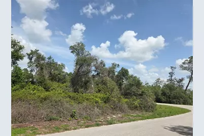 000 SW 153rd Loop, Ocala, FL 34473 - Photo 1