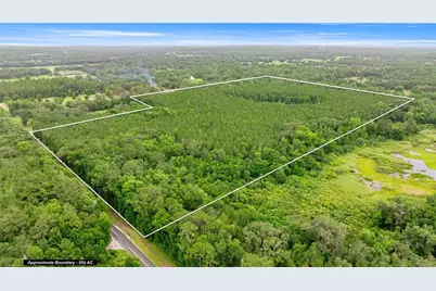 Tbd NW 160th St, Reddick, FL 32686 - Photo 1