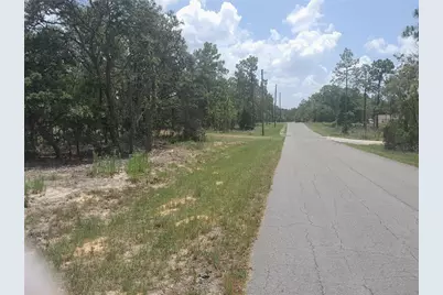 Tbd NE 7th Place, Williston, FL 32696 - Photo 1