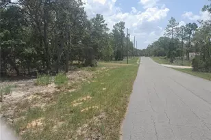 Tbd NE 7th Pl, Williston, FL 32696 - Photo 1