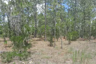 Tbd NE 149th Ct, Williston, FL 32696 - Photo 1