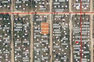 00 Mobile St, Interlachen, FL 32148 - Photo 1