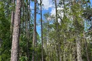 000 NE 138 Ave, Williston, FL 32696 - Photo 1