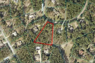 Tbd Lot 64 SW 204th Circle, Dunnellon, FL 34431 - Photo 1