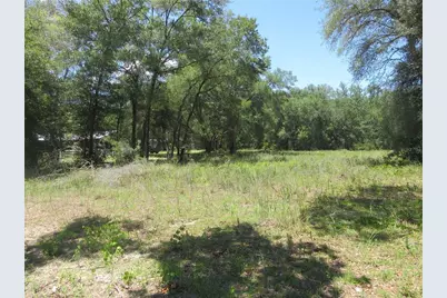 Se 161st Court, Ocklawaha, FL 32179 - Photo 1