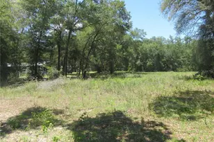 SE 161st Ct, Ocklawaha, FL 32179 - Photo 1