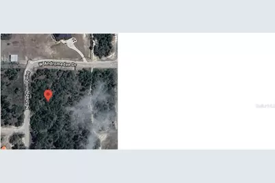 10965 N Shady Hill Point, Dunnellon, FL 34433 - Photo 1