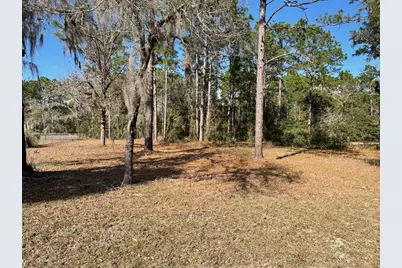 Lot 40 SW Marine Boulevard, Dunnellon, FL 34431 - Photo 1