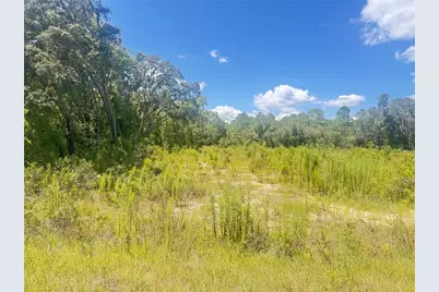 Tbd SW 91 Lane, Dunnellon, FL 34432 - Photo 1