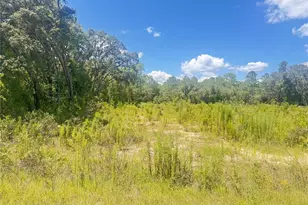 Tbd SW 91 Ln, Dunnellon, FL 34432 - Photo 1