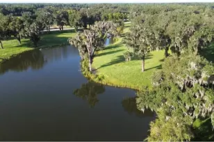 Tbd SE 157th Street Rd, Summerfield, FL 34491 - Photo 1