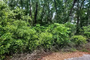 Tbd NE 155th Ct, Williston, FL 32696 - Photo 1