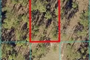 0 NW Tamarind Ln, Dunnellon, FL 34431 - Photo 1