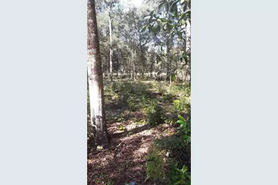 22733 NE 114th Avenue, Fort Mc Coy, FL 32134 - Photo 1