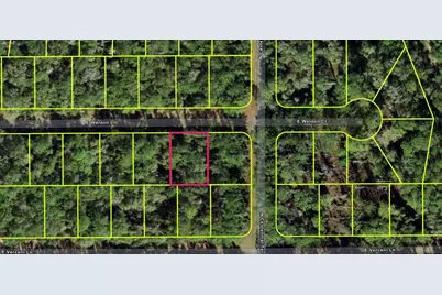 936 E Weldon Lane, Dunnellon, FL 34434 - Photo 1