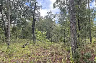 11851 SE 55th Ln, Morriston, FL 32668 - Photo 1