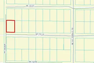 NE 152 Ln, Fort Mc Coy, FL 32134 - Photo 1