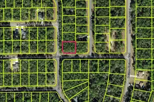 9123 N Patch Dr, Citrus Springs, FL 34434 - Photo 1