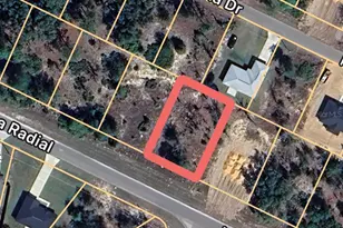 0 Malauka Radial, Ocklawaha, FL 32179 - Photo 1