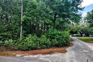 Tbd NE 12th St, Williston, FL 32696 - Photo 1