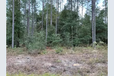 Sw 29th Street, Ocala, FL 34481 - Photo 1