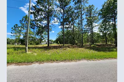 Malauka Radial Run, Ocklawaha, FL 32179 - Photo 1