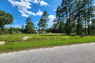 Malauka Radial Run, Ocklawaha, FL 32179 - Photo 1