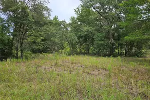 921 NE 148th Ct, Williston, FL 32696 - Photo 1