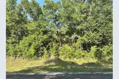 10713 N Adler Drive, Citrus Springs, FL 34434 - Photo 1