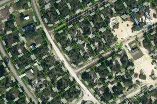 412 Tahiti Ct, Lake Placid, FL 33852 - Photo 1