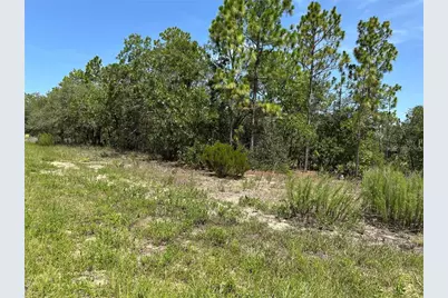 3803 W Keene Lane, Dunnellon, FL 34433 - Photo 1