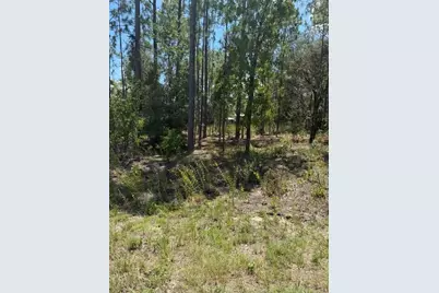 Tbd Oak Lane Circle, Ocala, FL 34472 - Photo 1