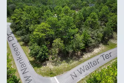 6549 N Walter Terrace, Dunnellon, FL 34434 - Photo 1