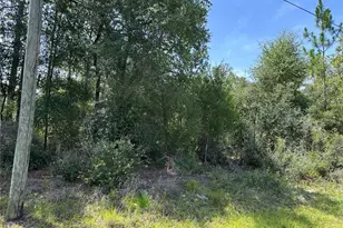 8547 N Trojan Dr, Citrus Springs, FL 34433 - Photo 1