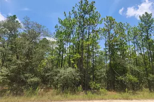 SW 76 Ln, Dunnellon, FL 34432 - Photo 1